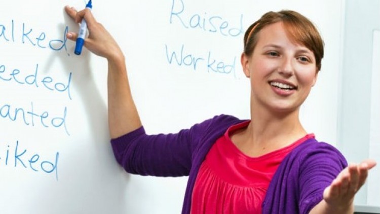 teacher img
